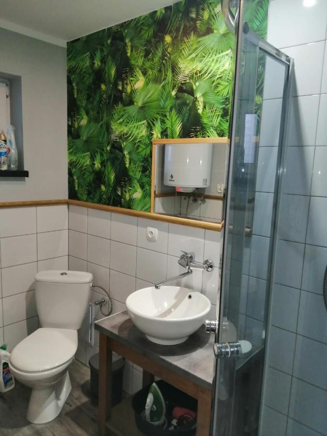 Domek Na Lesnej Погожелица Экстерьер фото
