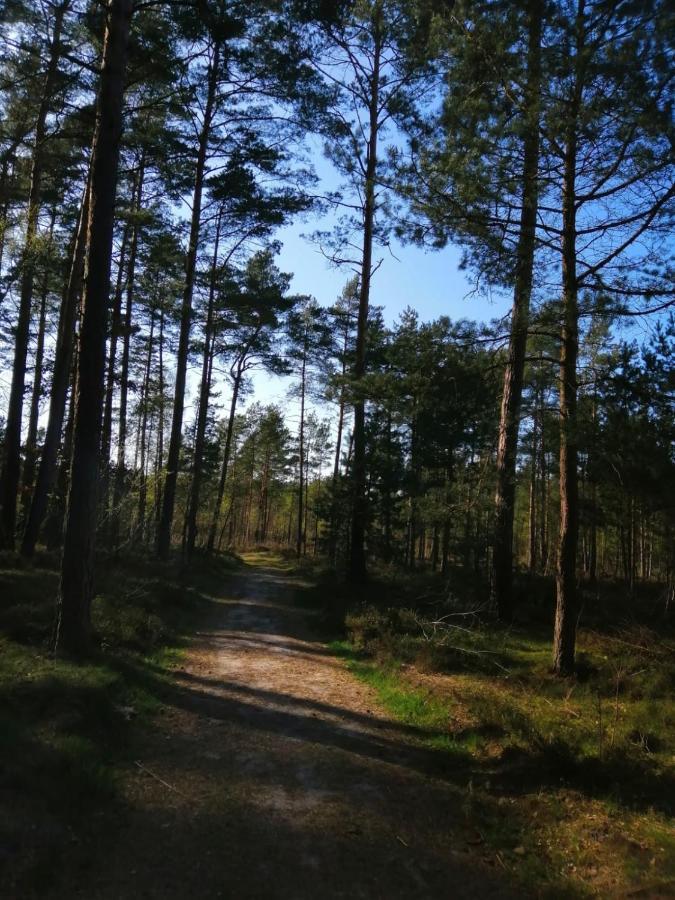 Domek Na Lesnej Погожелица Экстерьер фото
